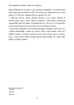 Esszék 'A német ipari forradalom a 19.században', 11.                