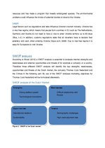 Üzleti tervek 'Marketing Plan of Crimea, Ukraine', 12.                