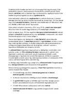 Összefoglalók, jegyzetek 'A két világháború közötti diktatúrák és ideológiájuk', 7.                