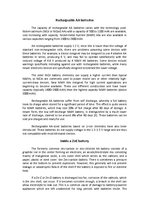 Összefoglalók, jegyzetek 'AA Battery', 2.                