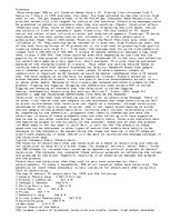 Esszék 'Budweiser - the "True" Campaign', 2.