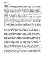 Esszék 'Code Hero: The Old Man and the Sea', 1.                