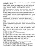 Esszék 'Emerging Markets and Regions Paper', 2.                