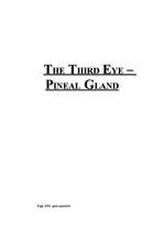 Kutatási anyagok 'The Third Eye - Pineal Gland', 1.                
