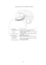 Kutatási anyagok 'The Third Eye - Pineal Gland', 7.                