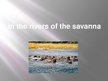 Prezentációk 'In the Rivers of the Savanna', 1.                