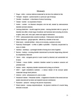 Kutatási anyagok 'Dance Theraphy', 13.                