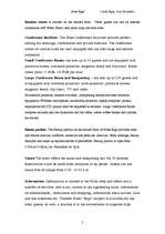 Prezentációk 'Hotel "Riga"', 15.                