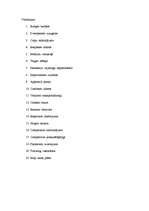 Összefoglalók, jegyzetek 'Marketing Strategies', 5.                