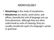 Prezentációk 'Morphology', 1.                