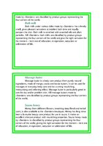 Kutatási anyagok 'Stender Soap Factory PR Manager Work in Company', 5.                