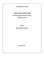Esszék 'My Home Town', 1.                