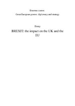 Kutatási anyagok 'Brexit: the Impact on the UK and the EU', 1.                
