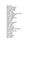 Prezentációk 'Muscle Car', 25.                