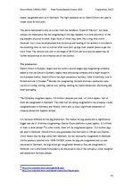 Záródolgozatok 'Danish Crown', 31.                