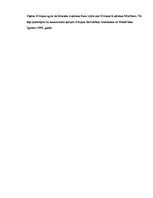 Összefoglalók, jegyzetek 'English Text Translation into Latvian', 3.                