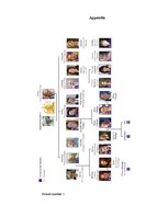 Kutatási anyagok 'The British Royal Family', 31.                