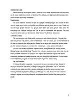 Kutatási anyagok 'Tourism in Germany', 8.                