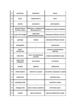 Záródolgozatok 'Translation Theory', 101.                