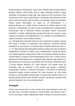 Esszék 'Gondolatok Walter Benjamin A történelem fogalmáról című művéhez', 5.                