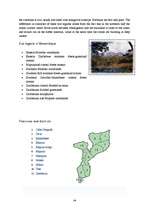 Kutatási anyagok 'Mozambique', 4.                