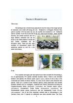 Kutatási anyagok 'Mozambique', 5.                