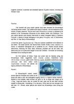 Kutatási anyagok 'Mozambique', 6.                