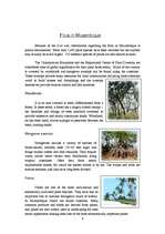 Kutatási anyagok 'Mozambique', 7.                