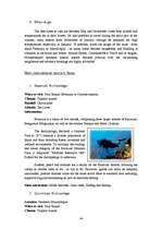 Kutatási anyagok 'Mozambique', 24.                