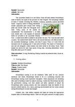 Kutatási anyagok 'Mozambique', 25.                