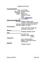 Minták 'Curriculum Vitae', 1.                