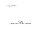 Esszék 'Marketing - közösségi média: Facebook és Instagram algoritmus, magyar felhasznál', 1.                