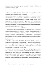 Esszék 'Marketing - közösségi média: Facebook és Instagram algoritmus, magyar felhasznál', 7.                