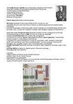 Összefoglalók, jegyzetek 'Az olasz fasizmus', 2.                