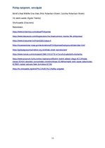 Esszék 'Fülöp, szigetek cetcápák', 13.                