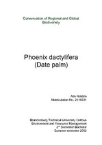 Kutatási anyagok 'Phoenix Dactylifera (Date Palm)', 1.                
