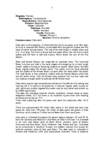 Kutatási anyagok 'Phoenix Dactylifera (Date Palm)', 2.                