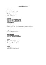 Minták 'Curriculum Vitae and Motivation Letter', 2.                