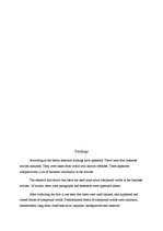 Kutatási anyagok 'The Use of Compounds in the Business Discourse', 6.                