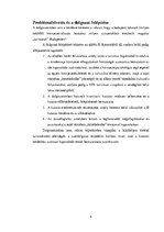 Kutatási anyagok 'Lakóhelyen történő "turistáskodás" élménye (vagy illúziója?)', 9.                