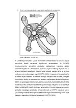Kutatási anyagok 'Lakóhelyen történő "turistáskodás" élménye (vagy illúziója?)', 12.                