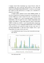 Kutatási anyagok 'Lakóhelyen történő "turistáskodás" élménye (vagy illúziója?)', 31.                