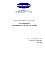 Esszék 'Individual Work Assignment', 1.                