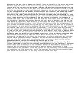 Esszék 'Wide Sargasso Sea Landscape &amp; identity', 2.                