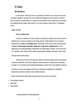 Kutatási anyagok 'Crisis has Affected Tourism', 5.                