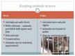 Prezentációk 'The Best and the Worst Aspects of Human Relationship with Animals', 6.                