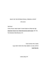 Esszék 'Essay on the International Criminal Court ', 1.                