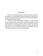 Kutatási anyagok 'Manipulation in Advertising', 3.                