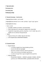 Összefoglalók, jegyzetek 'Vizuális készségfejlesztés tervezet', 2.                