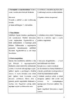 Összefoglalók, jegyzetek 'Vizuális készségfejlesztés tervezet', 5.                